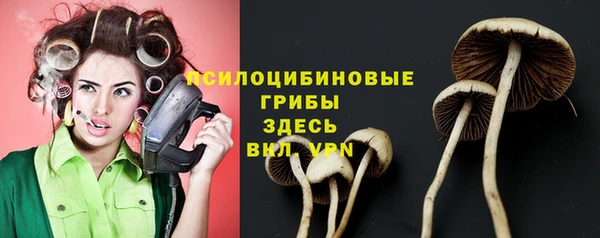 гидра Алексеевка