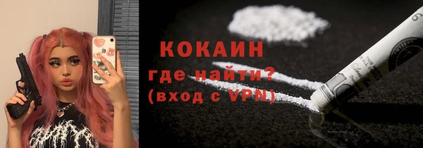 тгк Алзамай