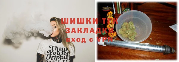 гидра Алексеевка