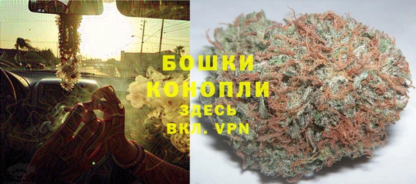 гидра Алексеевка