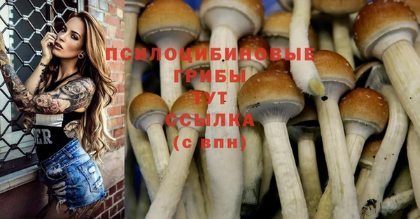 сатива Алексин