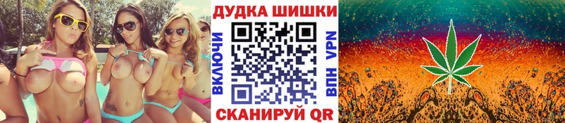 Бошки Шишки конопля  Духовщина 